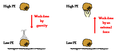 A stationary positive charge is placed in a uniform electric field. the direction of electric force exerted on that stationary positive charge is