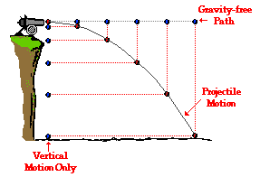 similarities and differences of projectile motion and free fall