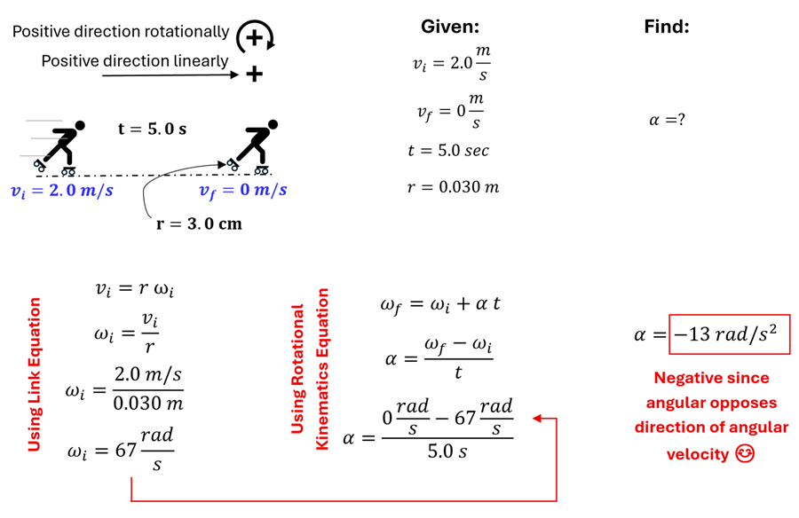 The solution to Check Understanding shown in 5 parts.  First part visually shows a person on skates moving with a velocity of 2 meters per second on one side, and 0 meters per second on the other, with t = 5 seconds and r = 3 cm (or 0.03 meters).  The given is the velocity initial, velocity final, time, and radius where the find is alpha (angular velocity).  The 3rd section shows the linking equations to convert velocity initial and final into angular velocity initial and final by taking the values and dividing them by the radius (0.03 meters), this gives us an initial angular velocity of 67 rad per second and final angular velocity of 0.  The Fourth second we find the equation to find alpha (angular velocity), which will be omega sub f (final angular velocity) = omega sub i (initial angular velocity) plus alpha (angular acceleration) times t (time).  Plugging in values and solving we get alpha (angular acceleration) = -13 rad per second squared (negative since it's opposing the direction of angular velocity).
