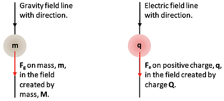 The image depicts two diagrams comparing gravitational and electric field lines. The left shows gravitational force acting on a mass, and the right shows electric force acting on a charge, both influenced by their respective fields.