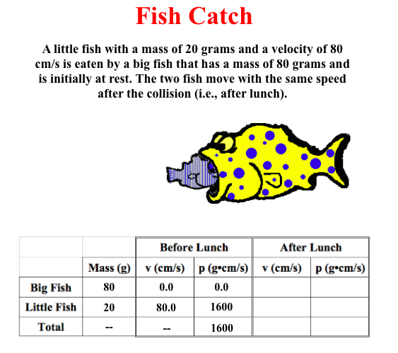 Fish Catch