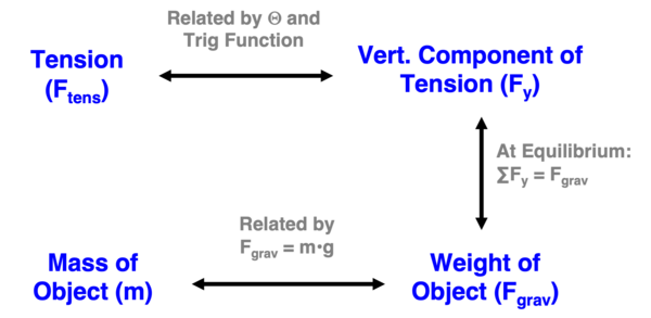 A conceptual diagram uses colored labels, arrows, and equations to explain the relationships between tension, weight, mass, and vertical forces in equilibrium.