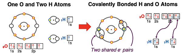 Electron shell and orbital box diagrams showing how one O atom and two H atoms share electrons to satisfy the octet and duet rule.