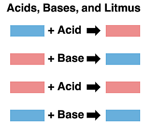 Results of litmus tests in Chemistry: Acids turn blue litmus paper to red. Bases turn red litmus paper to blue