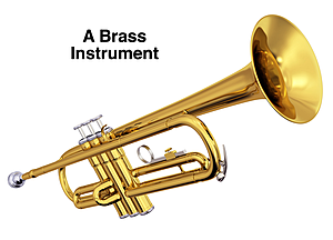 Photo of a shiny brass instrument.