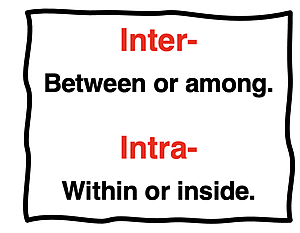 Distinction between the meaning of the prefix Inter (between or among) versus Intra (within or inside).