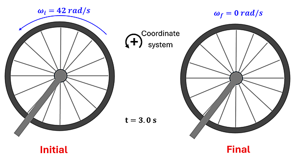 Diagram of the wheel and variables for Check Understanding 1.  It shows 2 bike wheels, the first spinning with a blue curved arrow with omega sub i (initial angular acceleration) equals 42 rad per second and 