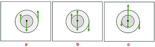 Three force diagrams are displayed with different force vectors on the left inner disc, the center, and the right outer disc.  They are labeled a b and c. Force vectors given from left to right, A has a small upward force vector on the left, a medium downward force vector on the center, and a medium upward force vector on the right.  B has a medium upwards force vector on the left, an equal up and down sized force vector on the center, and a medium downward force vector on the right.  C has a small downwards force vector on the left, a large upwards and a small downward force vector on the center, and a medium downward force vector on the right.