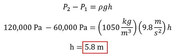 We start with P2 - P1 = rho g h. P2 we want to be double P1, and P1 is 60,000 Pascal, so 120,000 - 60,000 = 1050 (density of water) times 9.8 (g) times h. Solve for h and get 5.8 meters.