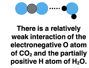 Particle diagram of CO2-H2O interaction explaining why CO2 is only partly soluble in water.