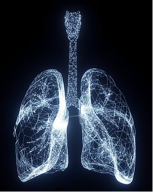 X-ray image of lungs full of air.