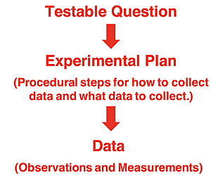 Listing describing the scientific process: develop a question, design an experiment, collect data to answer the question.