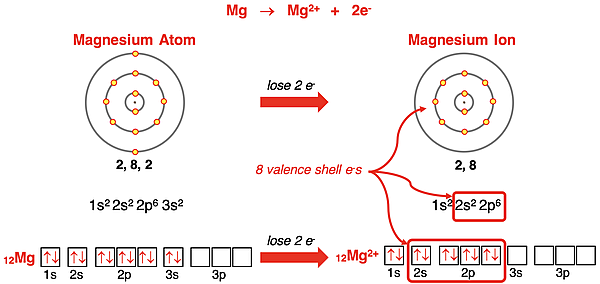 Electron shell diagrams, orbital box diagrams, and electron configurations representing Mg forming Mg+2 ion.