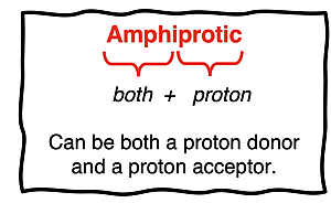 Definition of amphiprotic as the capability to behave as both a proton donor and a proton acceptor