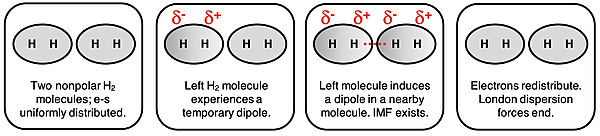 Four diagrams presenting the sequence of events that lead to London dispersion forces between two molecules.