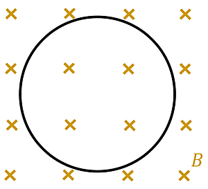 A loop of wire in a magnetic field going into the page.