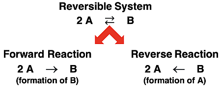 A reversible reaction consists of a forward reaction and a reverse reaction.