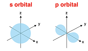 Comparison of shapes of s and p atomic orbitals.