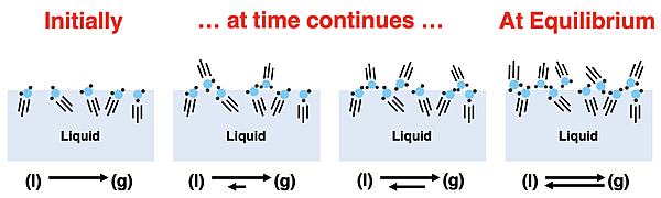 Four particle diagram showing the timed sequence by which a liquid poured into a container progresses towards liquid-vapor equilibrium.