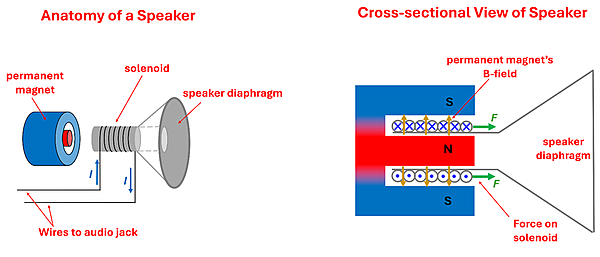 A diagram of a speaker, with a circular permanent magnet (south on the outer ring and a norther inner ring with a gap between), a solenoid that sits inside of that gap with a current carrying wire, attached to a speaker diaphragm. In a cross sectional the solenoid experiences the same direction on both sides since the magnetic field and current are in different directions, resulting in a greater net force either away or towards the magnet depending on current direction.