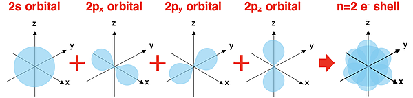 Diagram of 2s and three 2p orbitals and the corresponding electron shell.