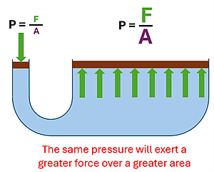 A U shaped tube (that is wider on the right side than left) has a force pushing on the left side with P = F (small) over A (small). On the right, the area is many times greater, and so is the Force, with the equation P = F (Large) over A (Large). The same pressure will exert a greater force over a greater area.