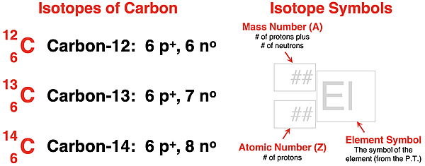 Infographic about isotope symbols and it use to describe the three naturally-occurring isotopes of carbon.