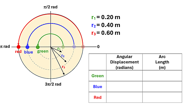 A circle with 3 radius outlined, green 0.20 meters, blue 0.4 meters, and red 0.6 meters.  Each start at 0 and make an arc of pi radians (180 degrees).  A table is shown to solve, with rows of Green Blue and Red, and Colums of Angular Displacement in Radians and Arc Length in Meters.