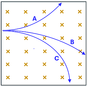 An image showing 3 particles (A B and C) that moved to the right through the magnetic field that is going into the page (represented by x's). A's path bends upwards, B and C bend downward.