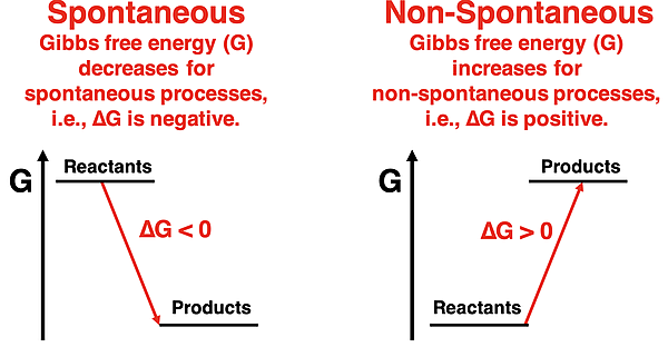 Two diagrams depicting Gibbs free energy change between reactants and products, relating the sign of ∆G to the reaction being spontaneous or not spontaneous
