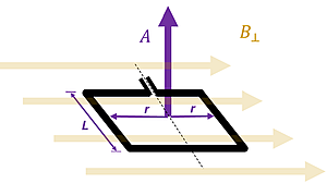 An image showing a magnetic field going to the right marked B sub perpendicular. A loop of wire is shown aligning itself with the magnetic field (laying 'flat'), with the Area shown as the L length and the radius twice (width), with an area vector A pointing upwards (perpendicular to the entire area)