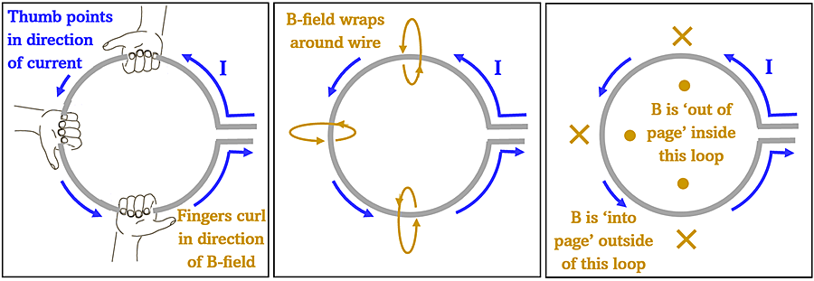 A diagram showing how the right hand rule can show the magnetic field direction in a loop of wire. Each box has a loop of wire with a counter clockwise flow of current. The first show three right-hands on the coil, the second box shows the magnetic field direction based on those right hands, the third shows that inside the loop the magnetic field points towards the viewer out of the page (represented by dots), and outside the loop the fields point away from the viewer (represented by x)