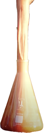 Photo of the elephant toothpaste demonstration in action.