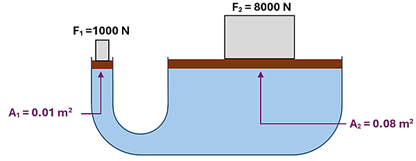 A U shaped tube filled with fluid, which the left side has an Area of 0.01 square meters, has a 1000 N weight pushing down on it. The right side of the tube is 8 times greater in surface area (0.08 meters squared) and is able to push up a 8000 Newton weight that is on the right. The pressure is the same.