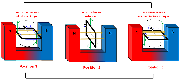 A diagram of 3 positions of the Wire Coil with a constant current direction. Position 1 shows it perpendicular to the North/South poles and gets a clockwise torque. Position 2 the wire will experience forces in all outwards directions, resulting in no torque force. Position 3 will show a counter clockwise torque force, which will try to send it back to position 2 instead of continuing rotation.