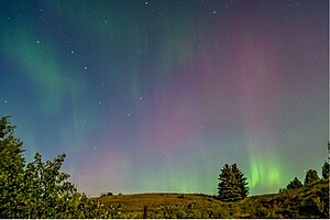 Picture of the Aurora Borealis over a grassy field.