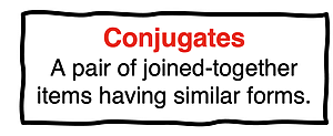Conjugate definition (general): A pair of joined-together items having similar forms.