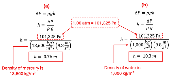 For both parts A and B, we start with Delta P (change in Pressure) = rho g h. Using algebra we get h = Delta P over the product of rho g. 1 Atmosphere is 101325 pascals, so that is plugged in, as well as 9.8 for gravity. For part A we have 13600 kg per cubic meter for rho (the density of mercury) to get a height of 0.76 meters. For part B we add 1000 kg per cubic meter for rho (density of water) to get a required height of 10.3 meters.