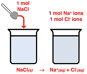A simple model for soluble salts illustrating that the dissociation process goes to completion.