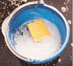 Photo of a sponge in water.
