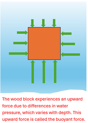A square wooden block is displayed with green force arrows on all sides.  The top arrows are small, and as the depth increases, the force arrows get larger (the sides of the square have small force arrows at the top and larger ones as it goes to the bottom), and very large force arrows on the bottom pointing upwards.  The text reads that The wood block experiences an upward force due to differences in water pressure, which varies with depth.  This upward force is called the buoyant force.