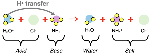 Particle diagram representing complete ionic equation for reaction between HCl and NH3. Proton transfer is shown. Acid, base, salt, and water are labeled.