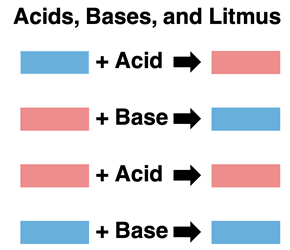 Results of litmus tests in Chemistry: Acids turn blue litmus paper to red. Bases turn red litmus paper to blue