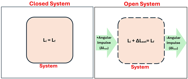 An illustration of a Closed vs. Open System in respect to Angular Momentum initial and final.  The closed system shows a box with L sub i (Initial Angular Momentum) = L sub f (Final Angular Momentum).  The Open System shows a perforated box with a green arrow on the left coming from outside and going into the box with the text + Angular Impulse (Delta L sub ext), an arrow on the right going from the box outwards with the text negative angular impulse (delta L sub ext), and in the box the equation L sub i + Delta L sub ext (Change from external Angular Momentum) = L sub f.