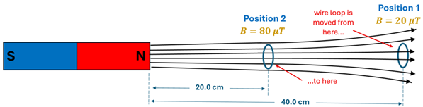 A diagram of a South-North Magnet with the north side emitting magnetic fields from it to the right with 2 loops of wire, one 20 cm away with the magnetic field strength of 80 micro tesla (position 2) vs. 40 cm away with a field strength of only 20 micro tesla (position 1)