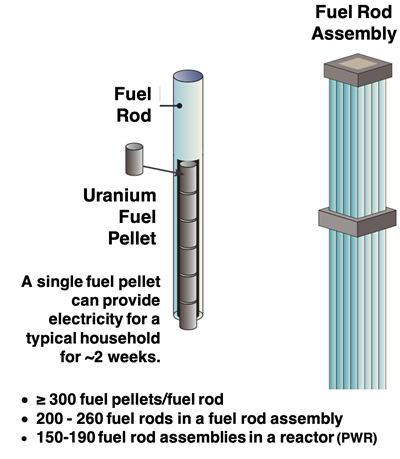 Diagram depicting a fuel pellet, a fuel rod, and a fuel rod assembly; includes some statistics regarding the number of fuel pellets/fuel rod, the number of fuel rods/assembly, and the number of fuel rod assemblies/reactor.