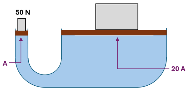 A U shaped tube with a 50 N weight on the left and an unknown weight on the right, the right is 20 times the area of the left.  They are the same height.