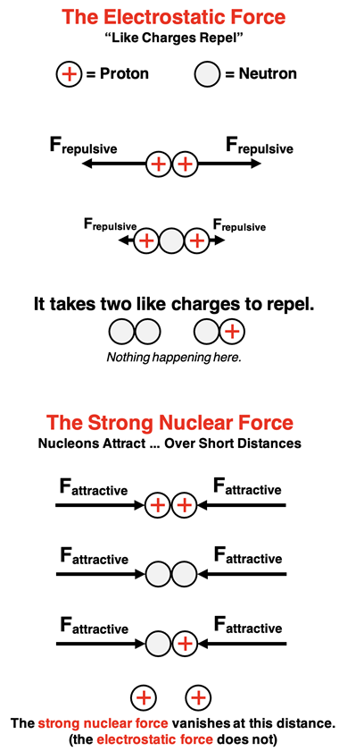 Diagram comparing the strong nuclear force to the electrostatic force in terms of the particles that participate and the effect of distance upon the strength of the force.