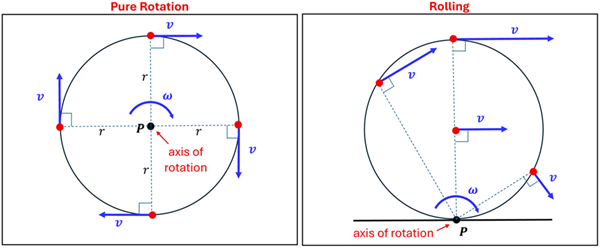 A diagram of Pure rotation (axis of rotation center) vs. Rolling (axis of rotation on bottom). Both show a circle with 4 points and blue vector lines, and dotted lines representing the radius. The left diagram (Pure rotation) shows the point of rotation P at the center, 4 dots at 0, 90, 180, and 270 degrees, each with a straight tangential velocity of the same magnitude and the same radius. On the right is a picture of rolling to the right, where the axis of rotation P is on the bottom, different radius lengths point to the axis of rotation on the bottom with tangential velocities of different directions and magnitudes due to what tangential is from that point to the bottom and the varying radius lengths.