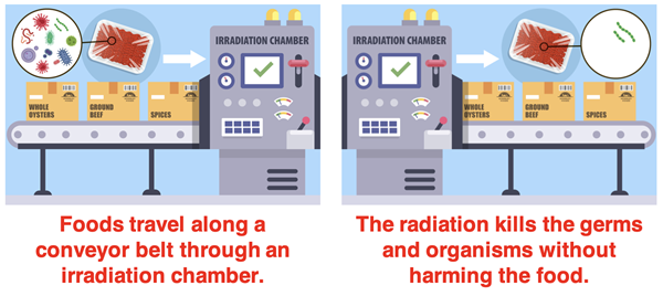 Two diagrams depicting how food irradiation works.